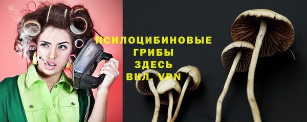 молекула духа Михайловск