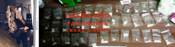 молекула духа Михайловск