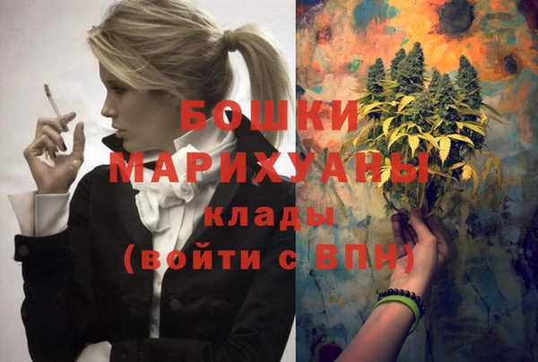 молекула духа Михайловск