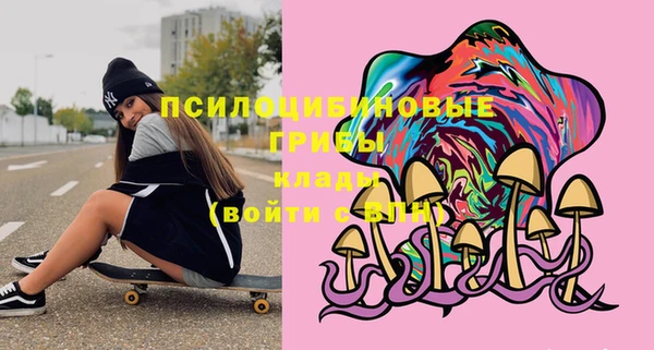 СК Михайлов