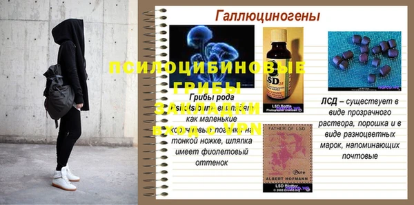 spice Надым