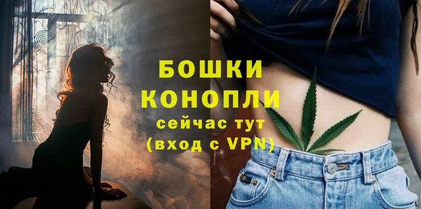 PSILOCYBIN Бабаево