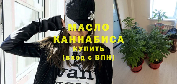 молекула духа Михайловск