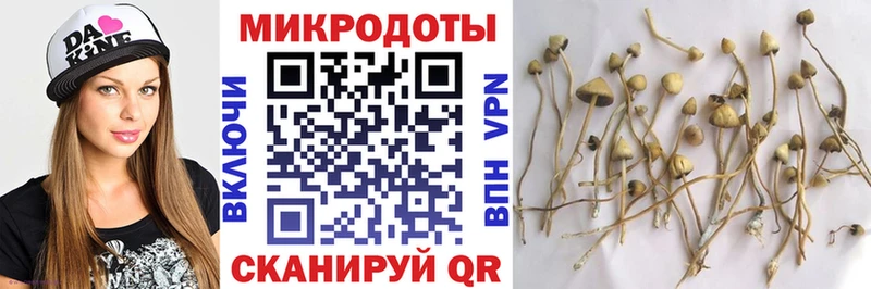 кракен ссылки  Порхов  Галлюциногенные грибы Magic Shrooms 