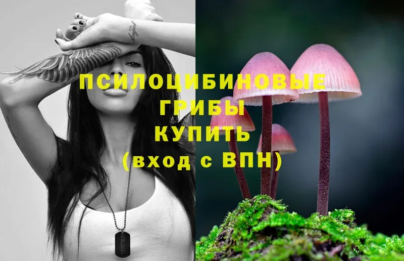 Галлюциногенные грибы Cubensis  Порхов 